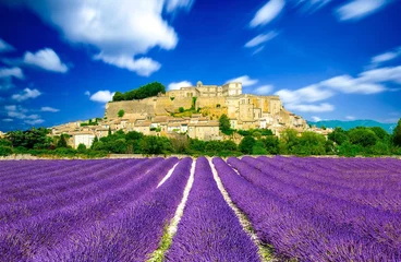 Foto op Plexiglas Provence - Lavendelvelden in Frankrijk © Alexi Tauzin