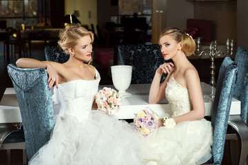 Naklejka premium Two beautiful brides