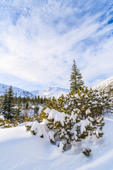 Beautiful winter landscape in Gasienicowa valley in Tatra Mountains, Poland