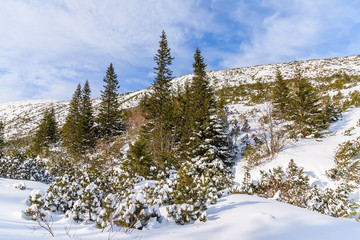 Winter landscape in Gasienicowa valley, Tatra Mountains, Poland