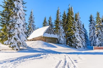 Wooden hut in forest in winter scenery of Gorce Mountains, Poland