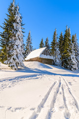 Ski track to wooden hut covered with fresh snow in winter scenery of Gorce Mountains, Poland