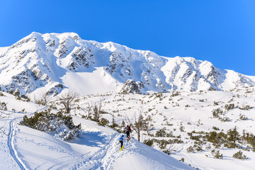 Fototapeta na wymiar Alpine skiers on on winter trail in Rohace valley, Tatra Mountains, Slovakia