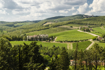 Fototapeta na wymiar vineyards of Chianti in Tuscany