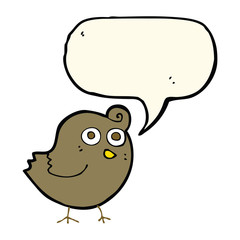 funny cartoon bird with speech bubble