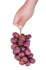 Hand holding bunch of red grapes