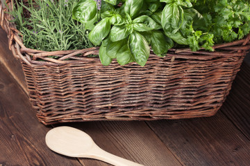 Naklejka premium Cooking with fresh herbs
