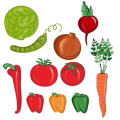 Illustration set of vegetables. vector