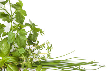 Culinary herbs background with copy space.