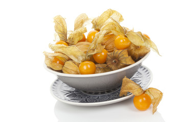 Physalis, groundcherries
