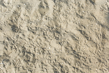 Sand