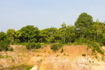 Trees on soil erosion