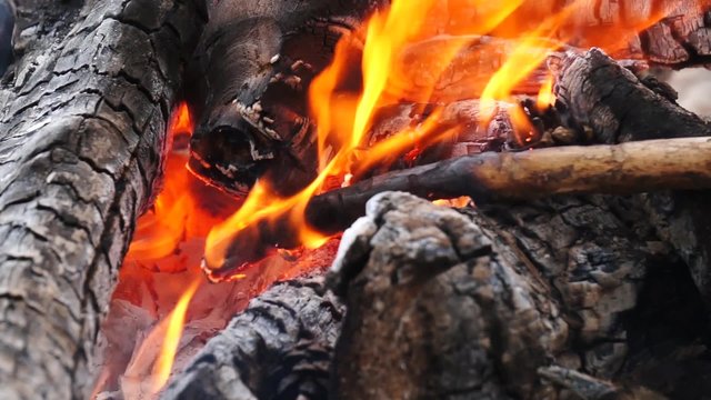 Ashes and flame on burning log in a fire