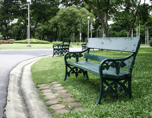 bench in the green park