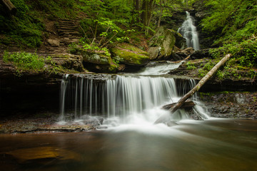 Obraz premium Waterfall at Ricketts Glen State Park, Pennsylvania