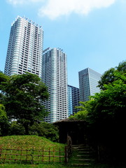 Fototapeta premium 浜離宮恩賜公園