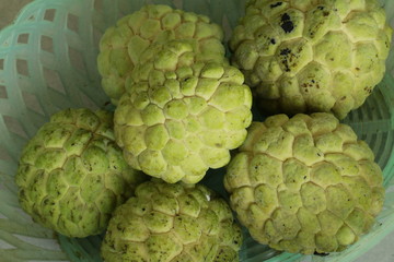 Fototapeta premium custard apple