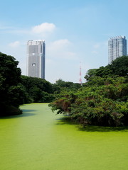 浜離宮恩賜公園