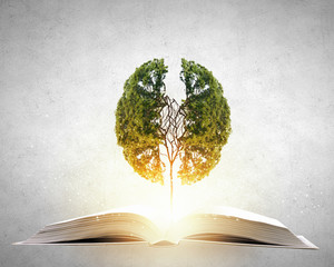 Reading and self education © Sergey Nivens