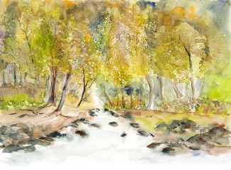 Beautiful river in forest landscape watercolor on paper