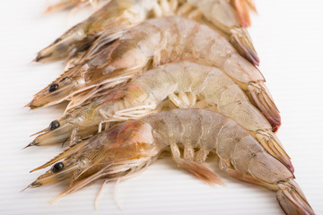 Close up shrimp