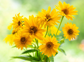 Fototapeta na wymiar bouquet of yellow daisy flowers