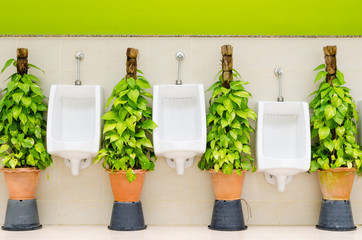 restroom interior with white urinal row and ornamental plants