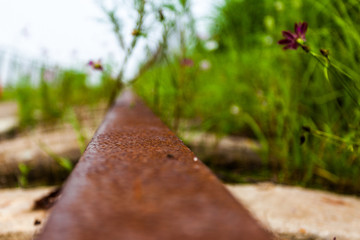 ship building park jiangyin