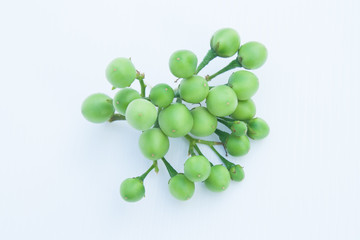Turkey berry vegetables on a white background..