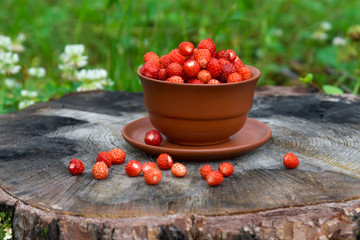 Wild strawberries