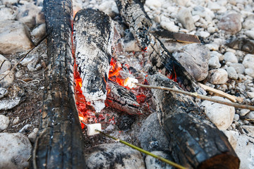 Marshmallows sticked on a twig, being toasted