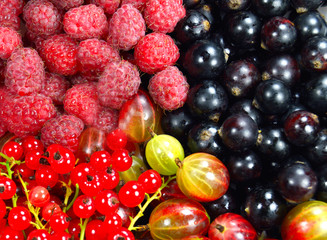Assorted ripe berries background
