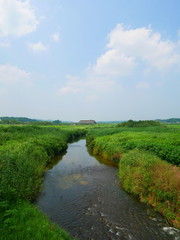 Fototapeta na wymiar 初夏の涸沼川