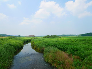 Fototapeta na wymiar 初夏の涸沼川
