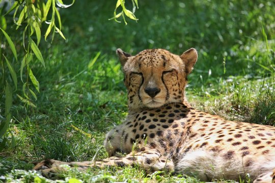 Zoo