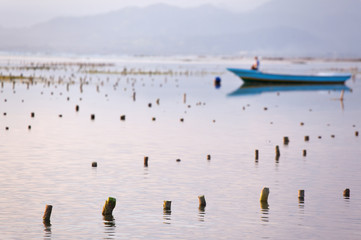 Bali'es island landscape