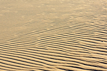Fototapeta premium sand on the dunes
