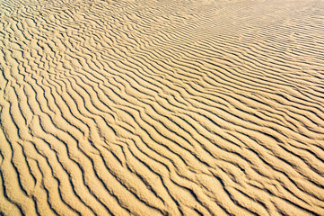 sand on the dunes