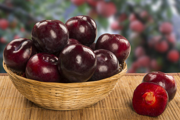 Fresh bright plums in the bowl on board