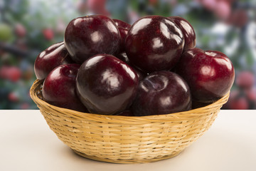 Fresh bright plums in the bowl on board