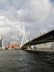 Erasmus Bridge in Rotterdam