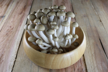 Brown shimeji Mushrooms in bowl.