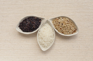 Rice collection design 