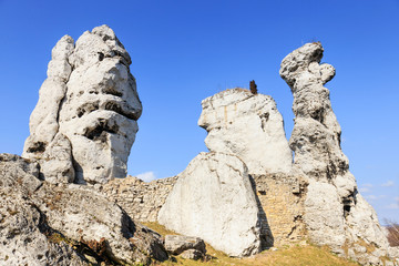 jurassic limestone rocks - Polish Jura, Poland