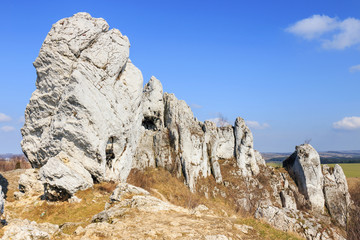 jurassic limestone rocks - Polish Jura, Poland
