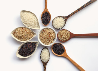Rice collection on white background