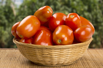 Some tomatoes over a wooden surface on a tomato field as backgro
