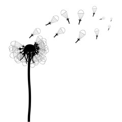 Vector illustration of dandelion on white background