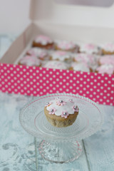 Cupcakes con pasta di zucchero bianca e rosa