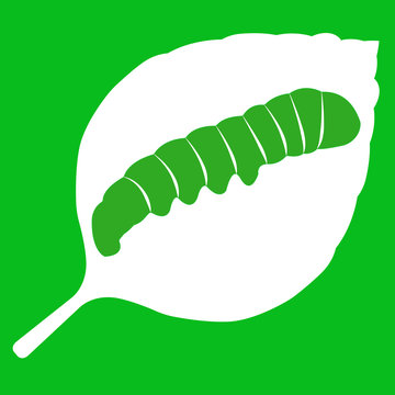 Vector illustration of leaf on green background
